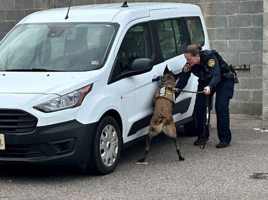 Apollo the Dog Sniffing a White Van