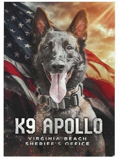 K9 Apollo